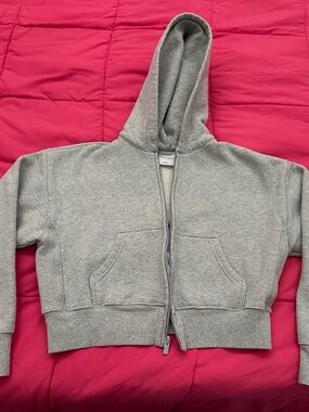 Grey Cropped Aritzia boyfriend Zip Hoodie